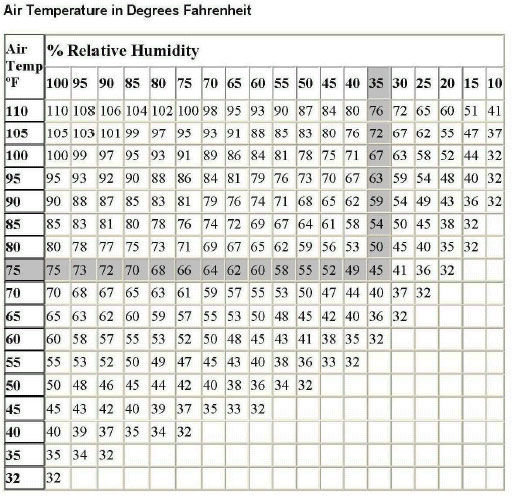 Como calcular o ponto de orvalho, a temperatura e a umidade relativa do